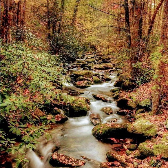 Meet your Posher, Virginia - Picture 1 of 1